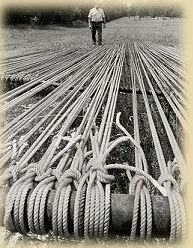 Ranch Rope